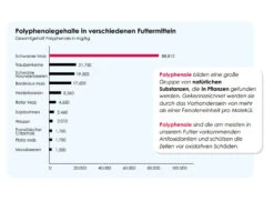 Versele Master Witwer 20kg 8 Versele Master Witwer 20kg -Tiernahrung antioxidantien 11