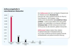 Versele Superstar Plus IC+ Black Label 20kg -Tiernahrung antioxidantien 214