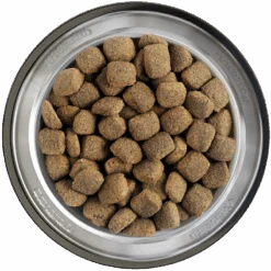 Belcando Junior Maxi 2er-Pack 25kg 7 Belcando Junior Maxi 2er-Pack 25kg -Tiernahrung belcando napf junior maxi 800x8000