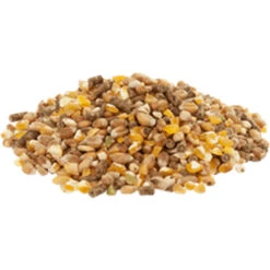Versele Gold 4 Mix 20kg -Tiernahrung gold4mixl