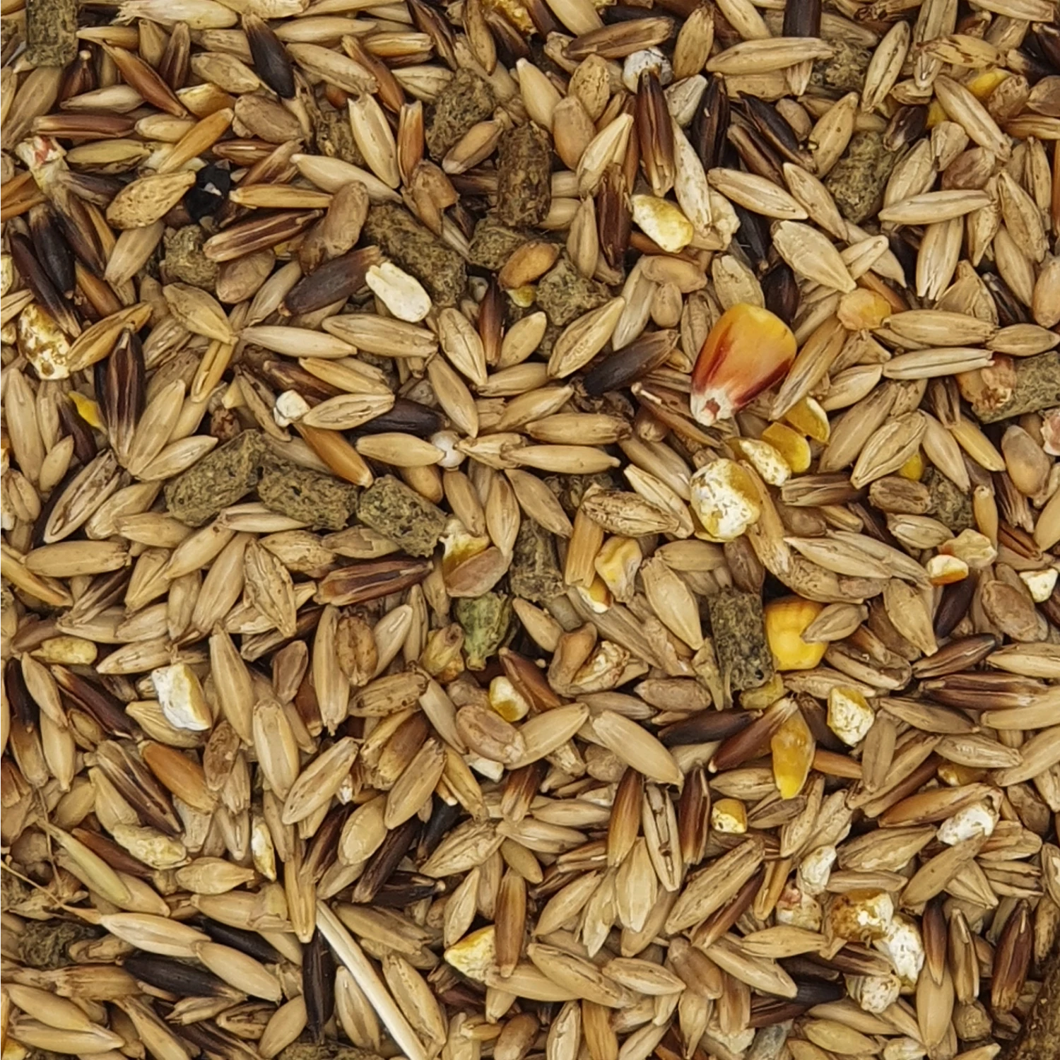 Havens Kentucky Lite E - Energie 25kg 3 Havens Kentucky Lite E - Energie 25kg