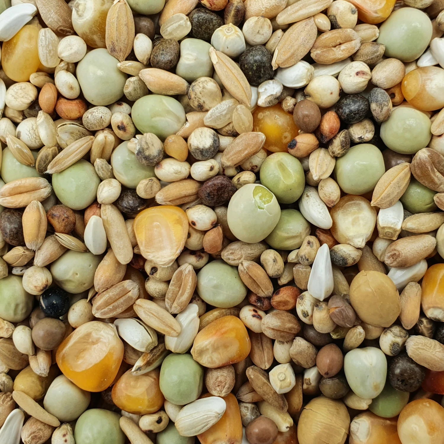 Matador Premium Zucht 25kg 3 Matador Premium Zucht 25kg