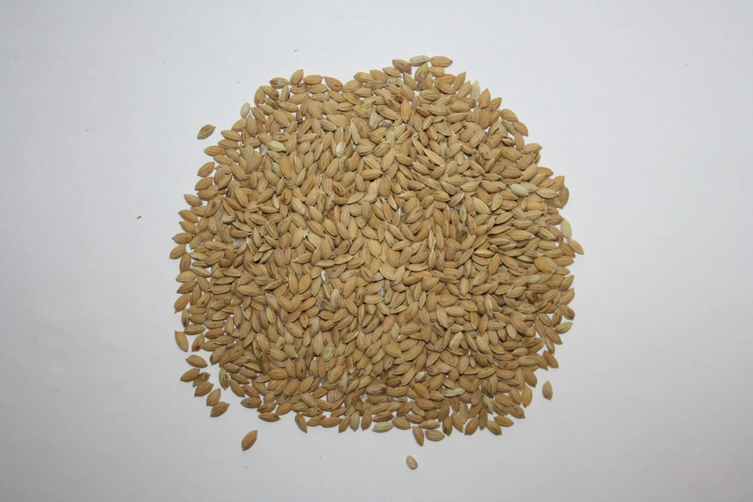 Paddyreis - Vanrobaeys 20kg 3 Paddyreis - Vanrobaeys 20kg