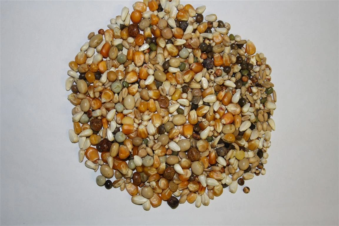 Beyers Premium Jan Keen Super Light 20Kg 2 Beyers Premium Jan Keen Super Light 20Kg