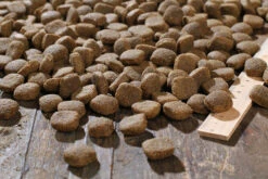 Bewi Dog H-Energy 25kg 8 Bewi Dog H-Energy 25kg -Tiernahrung rs2910 h energy kroketten lineal img 1786b klein