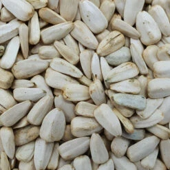 Sonnenblumenkerne Weiß - Vanrobaeys 25kg
